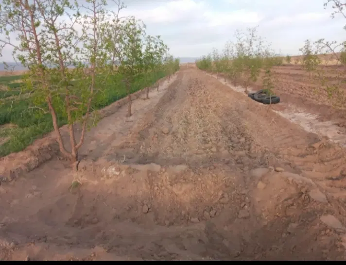 فروش خانه مسکونی ویلایی