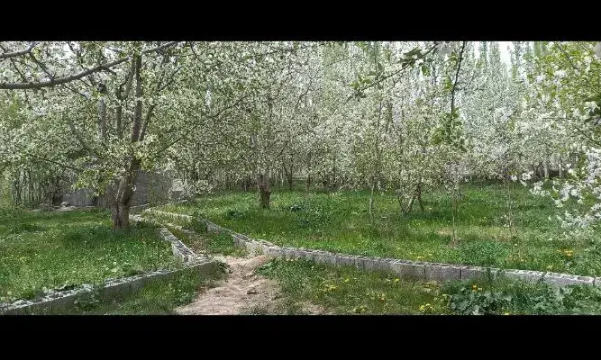 باغ جاده قطور