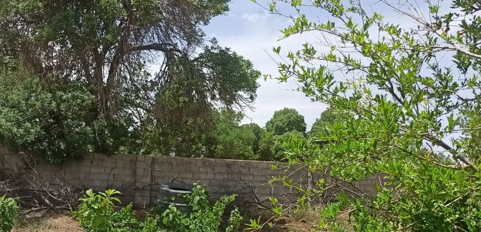 منزل فروشی