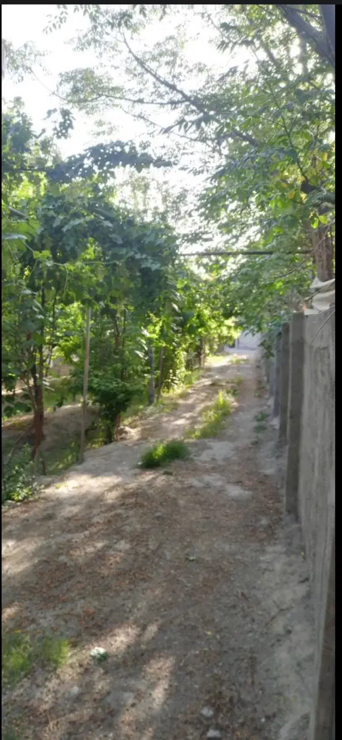 فروش و اجاره باغچه در شهرری