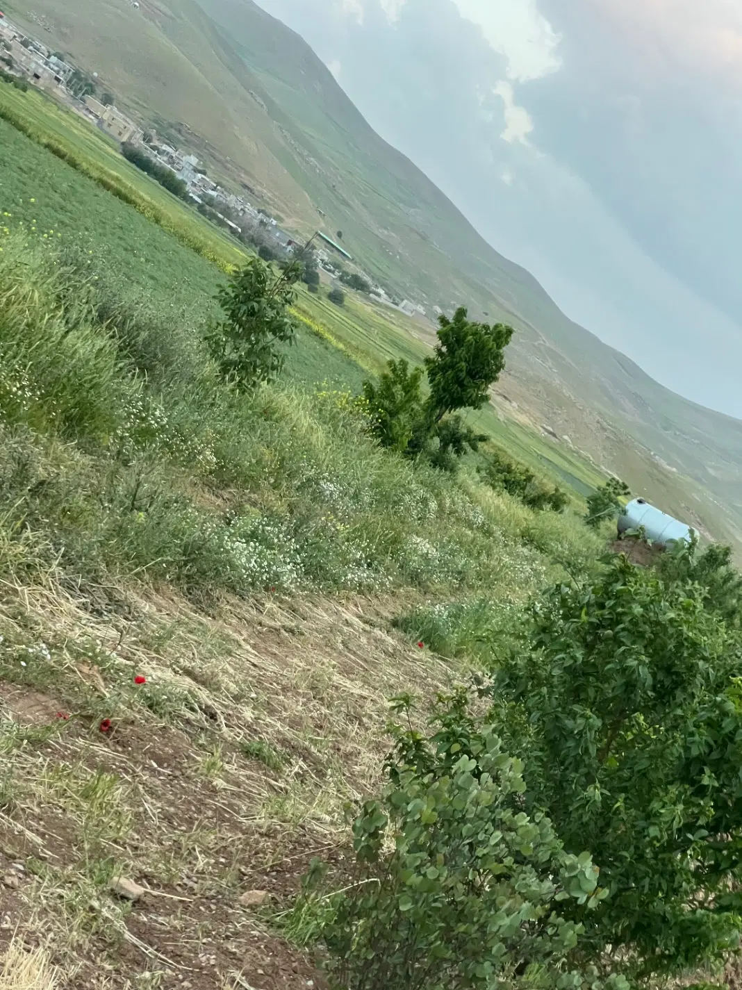 باغ ۸۰۰متری بر خیابان سیاکمر