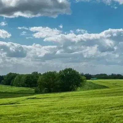 زمین کشاورزی