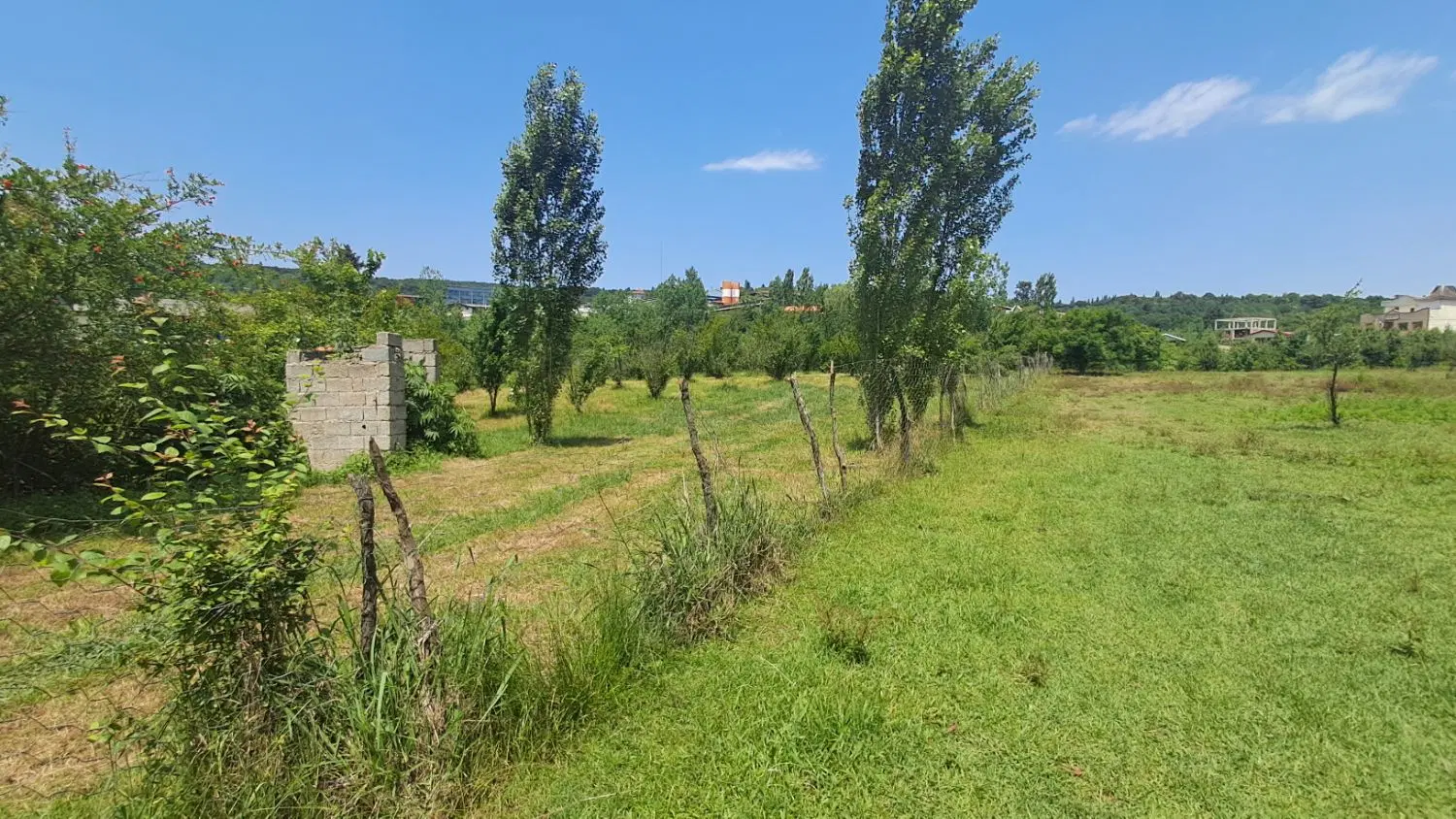 فروش زمین در روستای چهره از منطقه بابلکنار