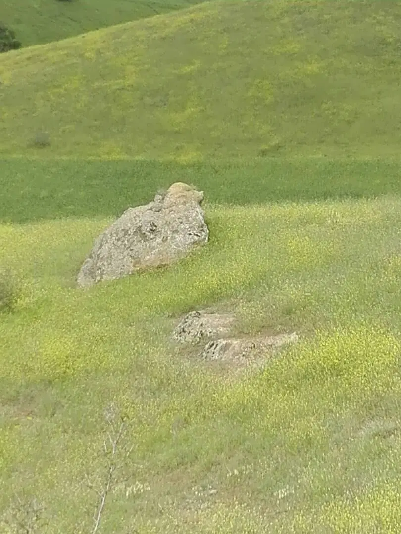 زمین در زمزم مارالان