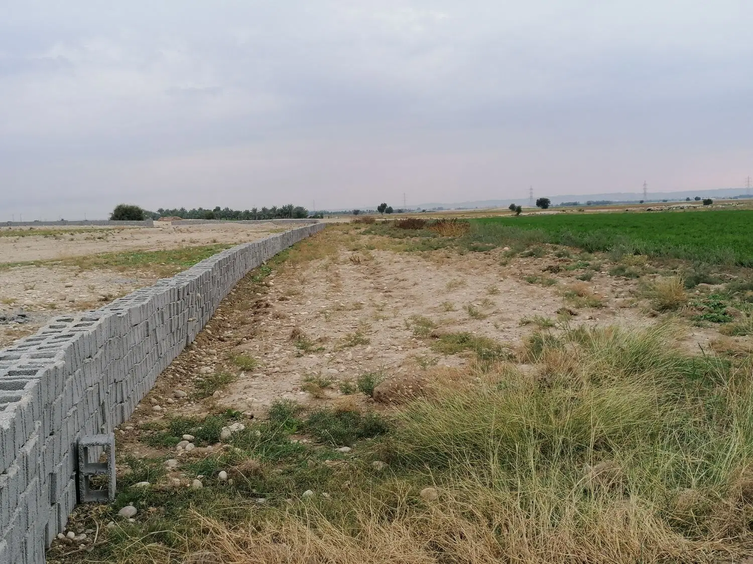 زمین کشاورزی