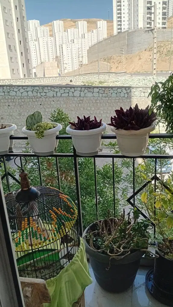 فاز ۱۱ زون ۴