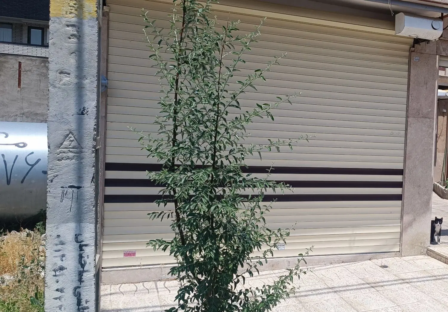 فروش مغازه در مرزداران فرهنگیان