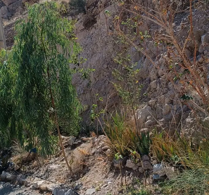 باغ شهری لار روبروی آب باریک