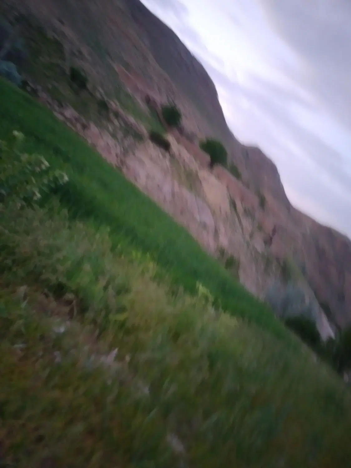 زمین مسکونی  ۳۰۰ متر در ارکان