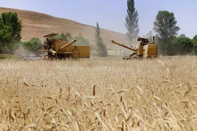 فروش زمین کشاورزی 8هکتار