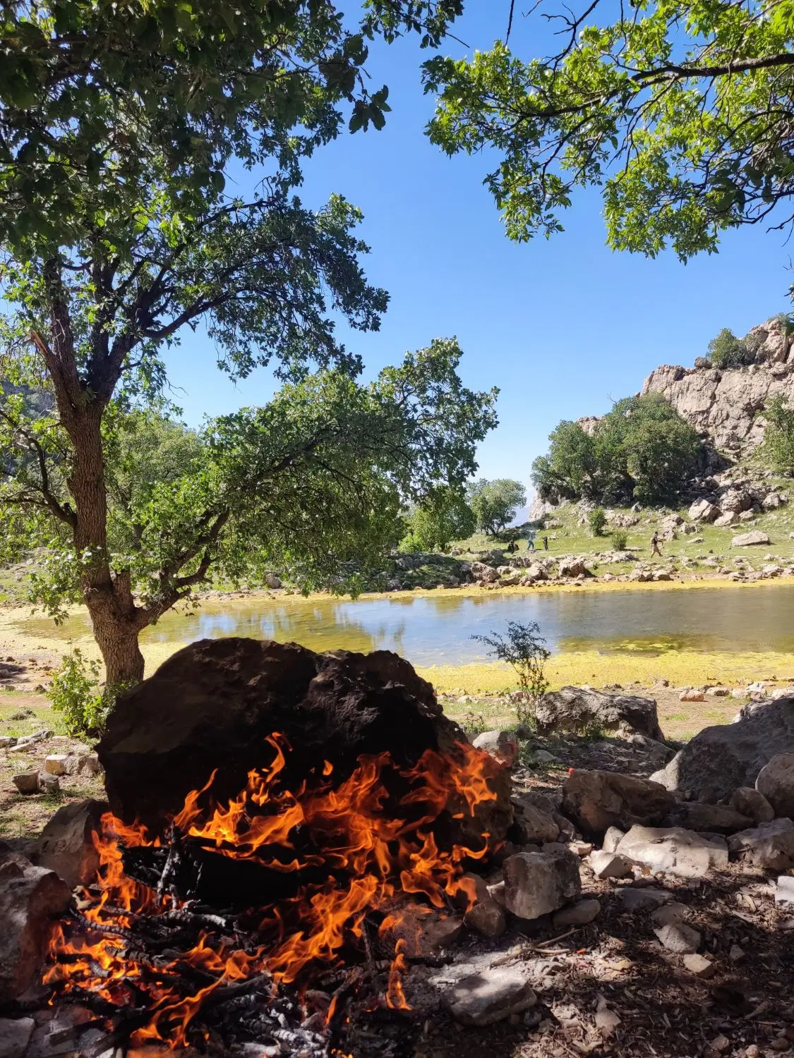 زمین کارزان روستای چشمه پهن