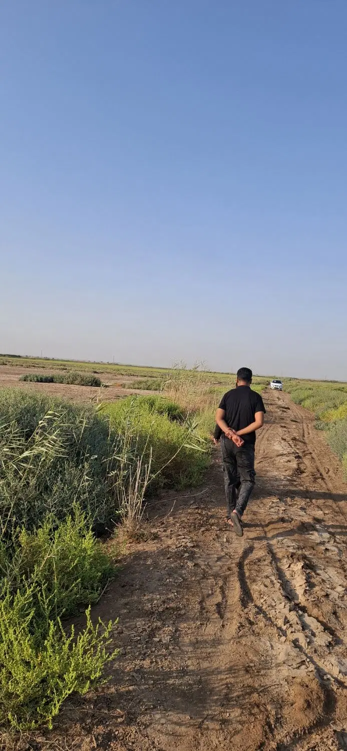 زمین کشاورزی
