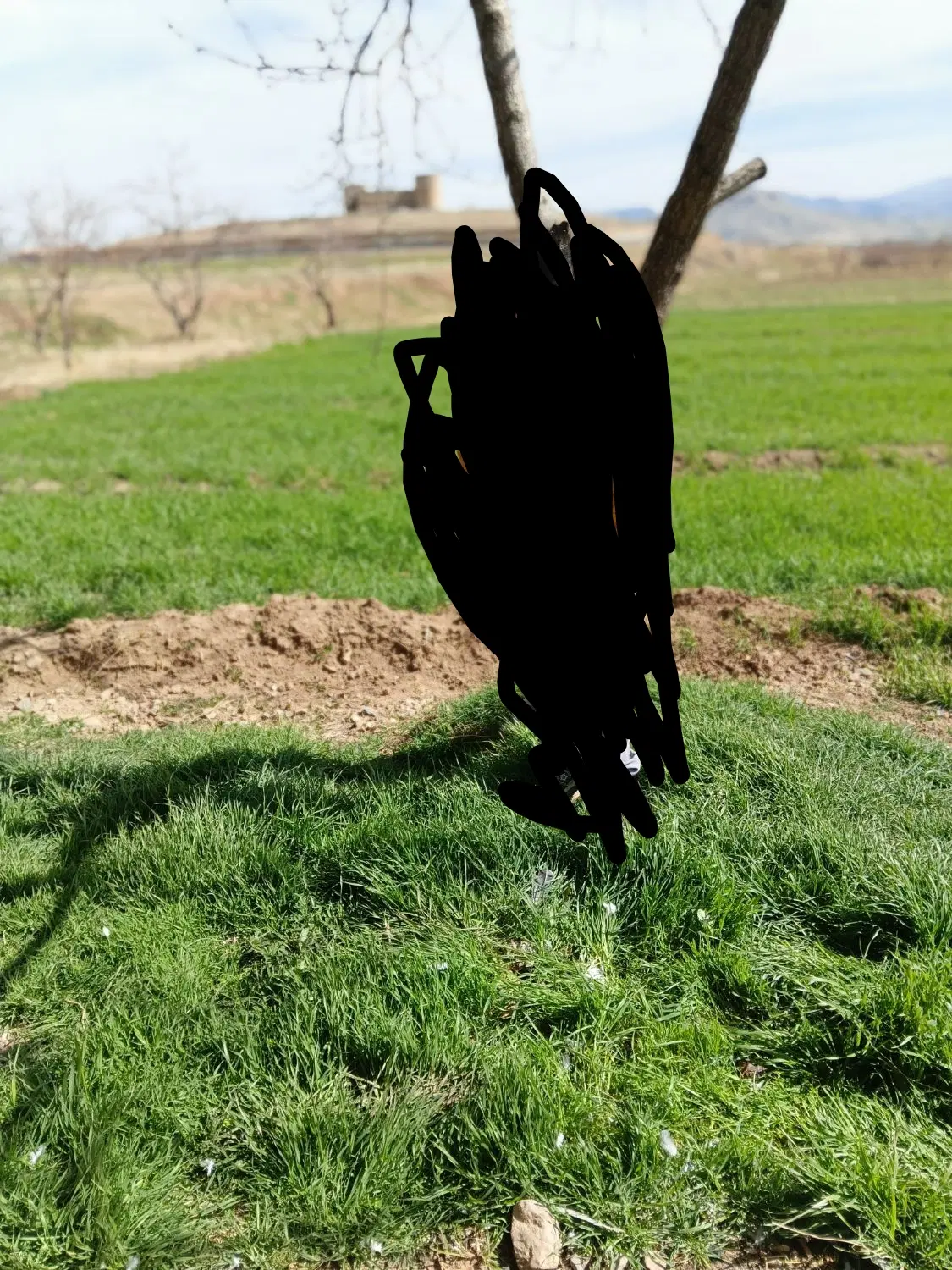 زمین کشاورزی