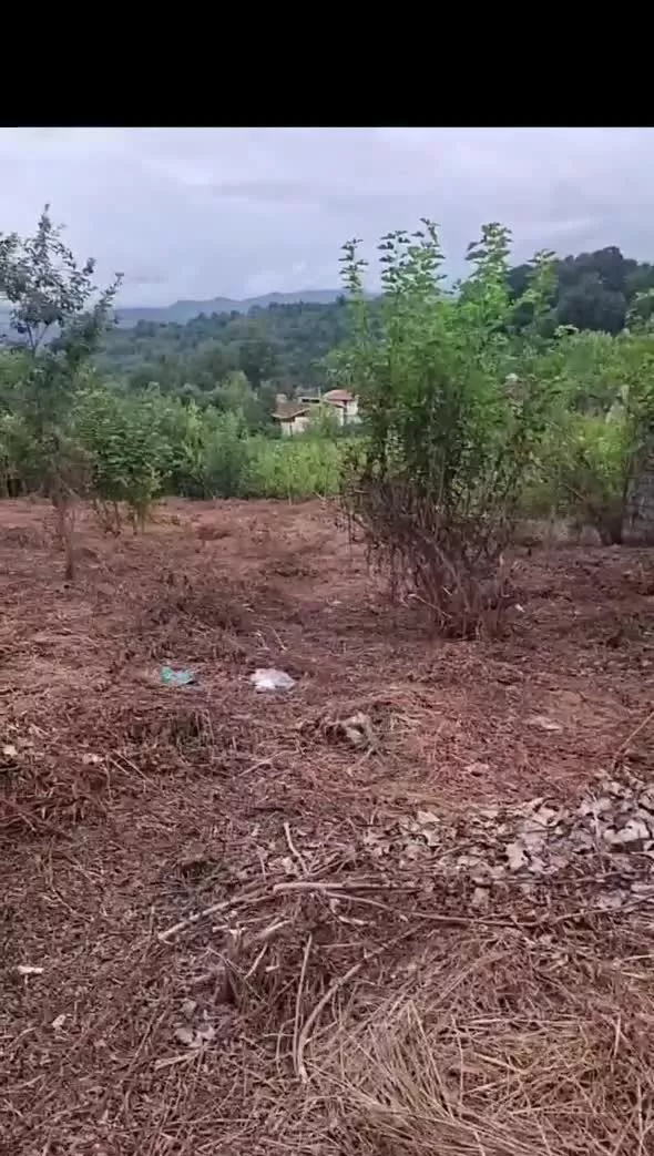 فروش زمین در لاهیجان روستای کابیجار