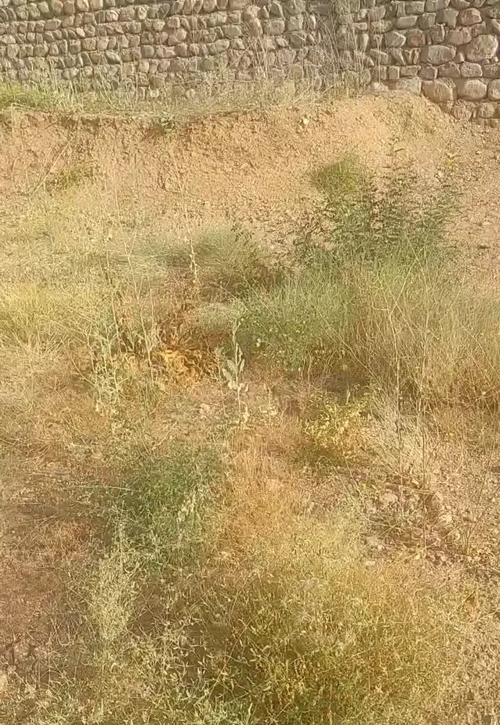 زمین فروشی طالقان روستای گوران