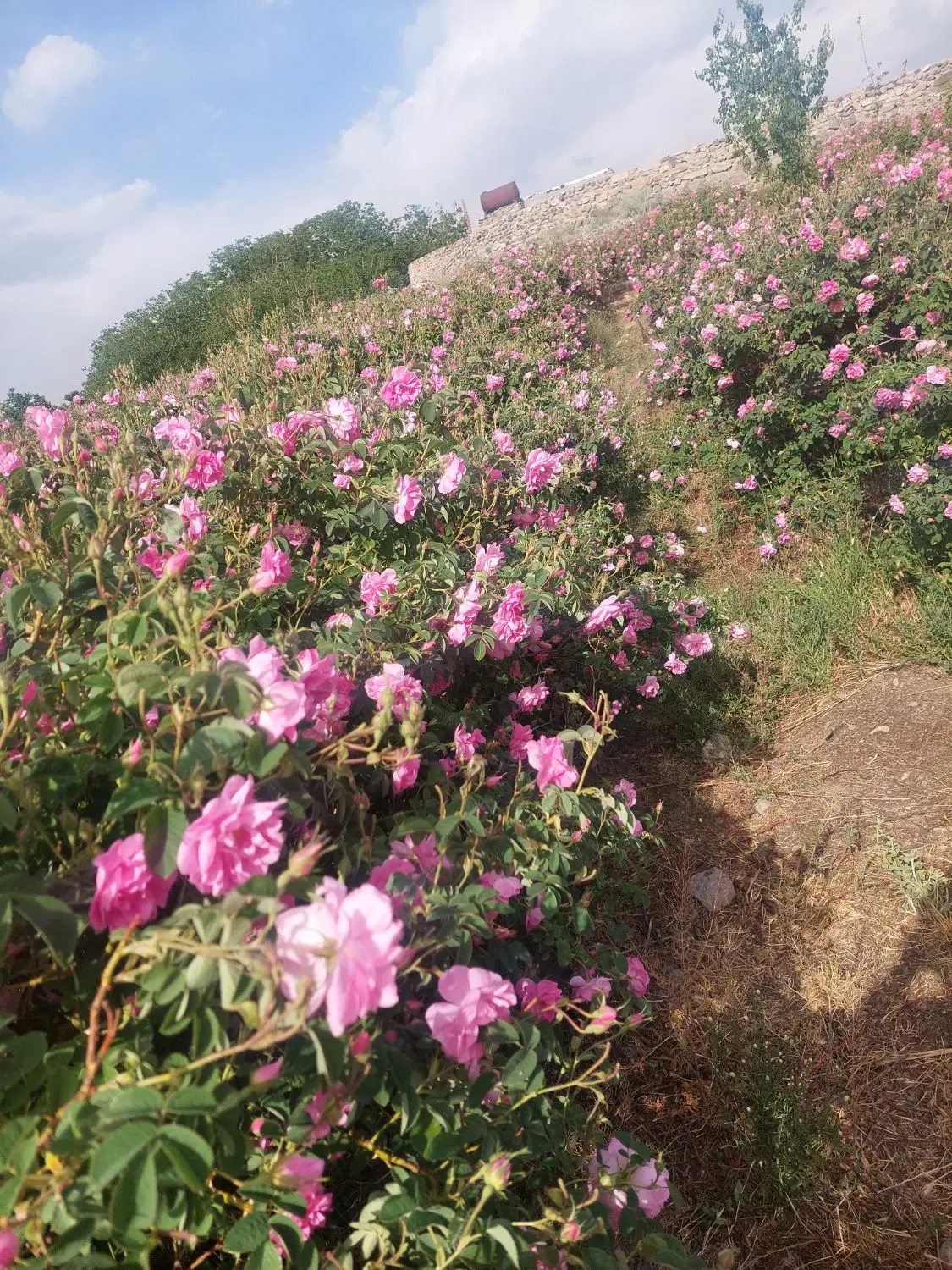 فروش زمین خونه باغ.ویلایی