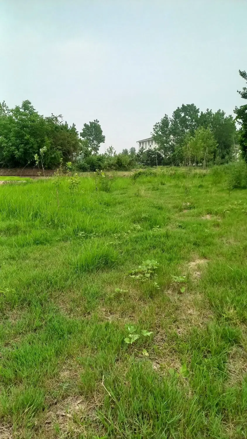 زمین ویلایی
