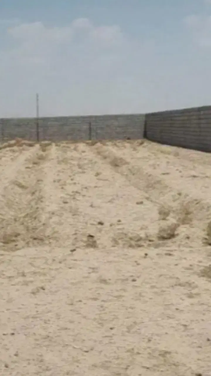زمین باغی