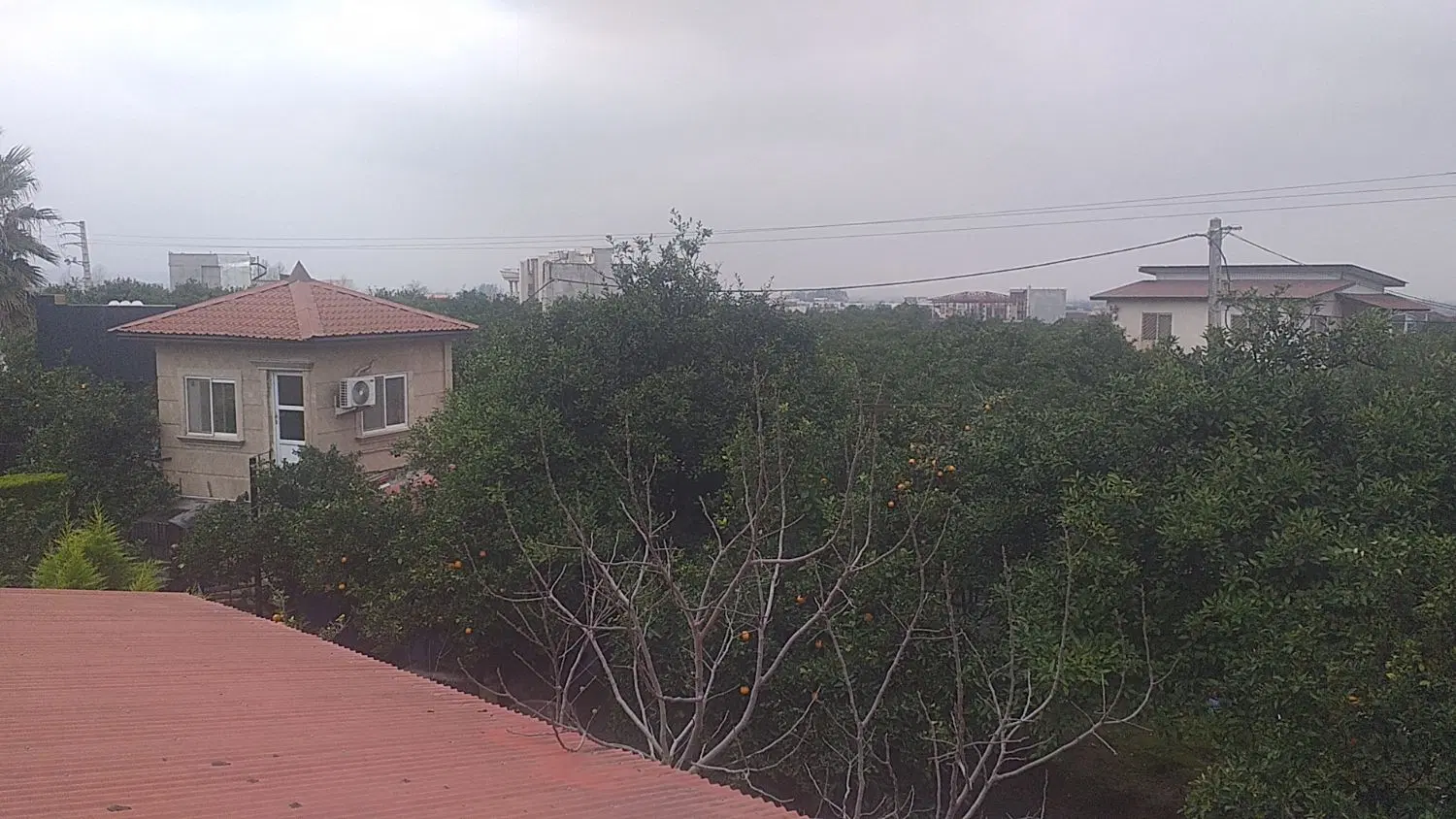 ملک به متراژ ۱۰۰۰متر
