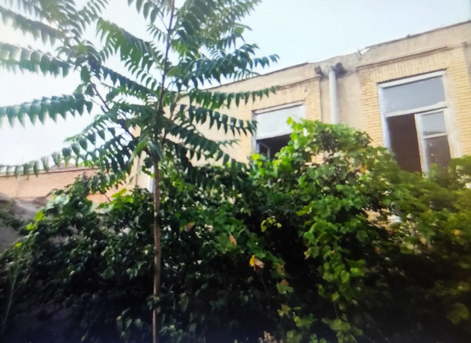 حیاط کلنگی به متراژ۳۱۳مناسب سرمایه‌گذاری