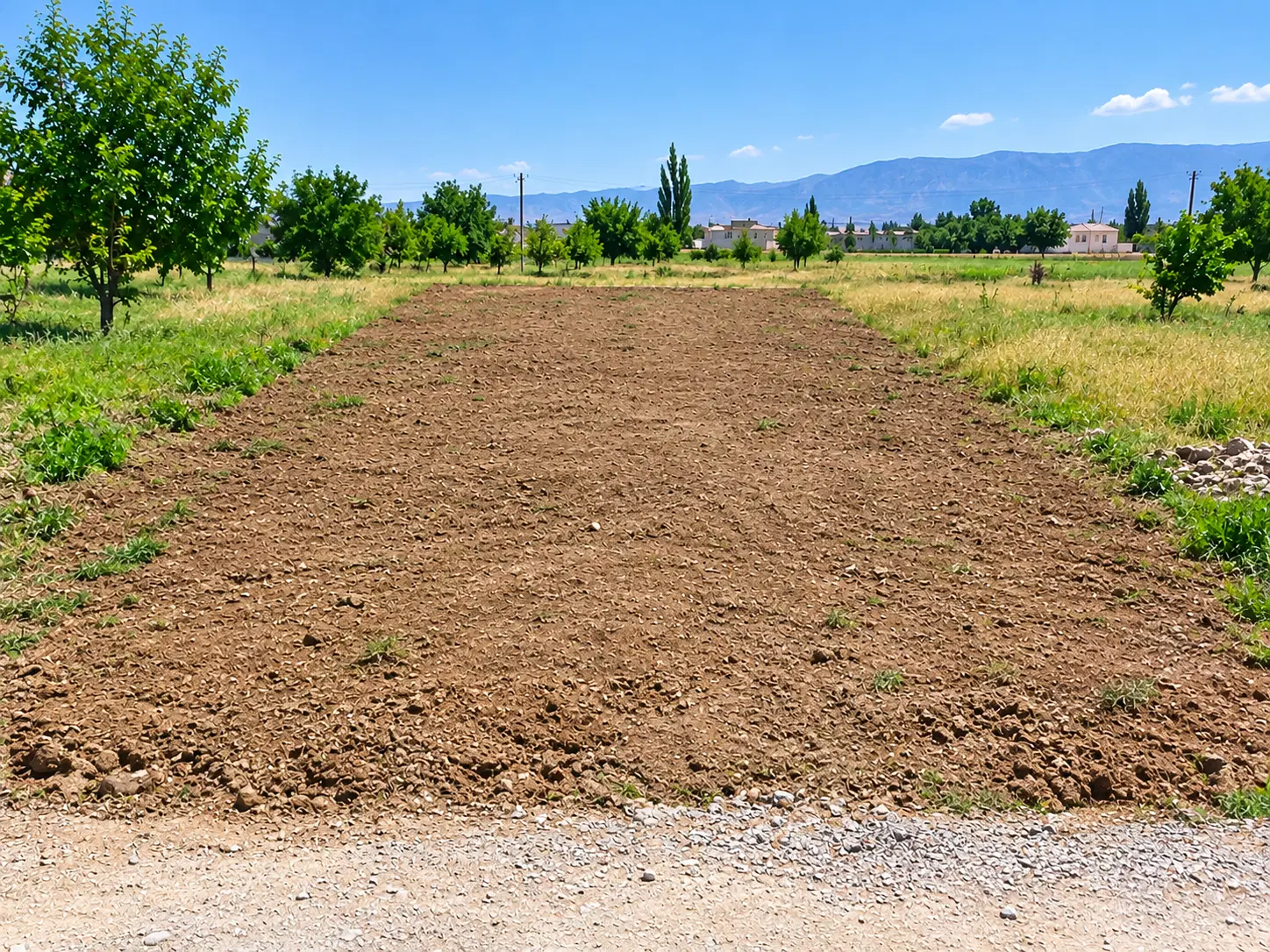 زمین مسکونی
