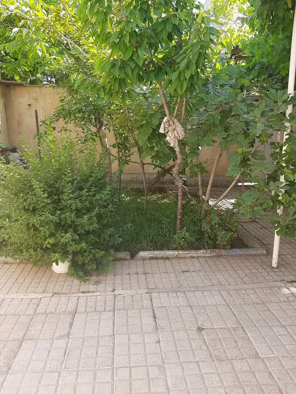 فروش منزل ویلایی ۲۷۲ متری