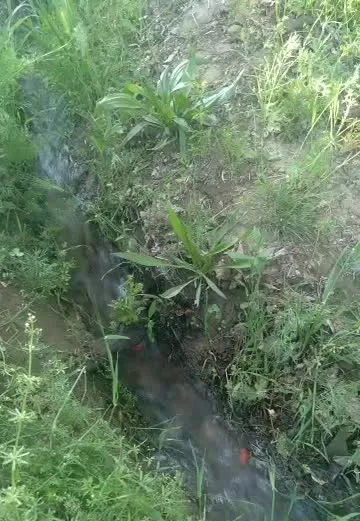 فروش باغ گردووبادام