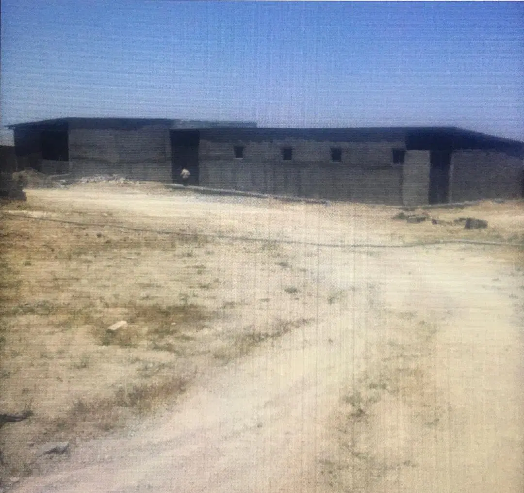 ملک دامداری بره