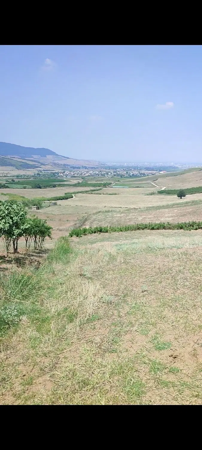 فروش ۱.۵ هکتار زمین کشاورزی آبی
