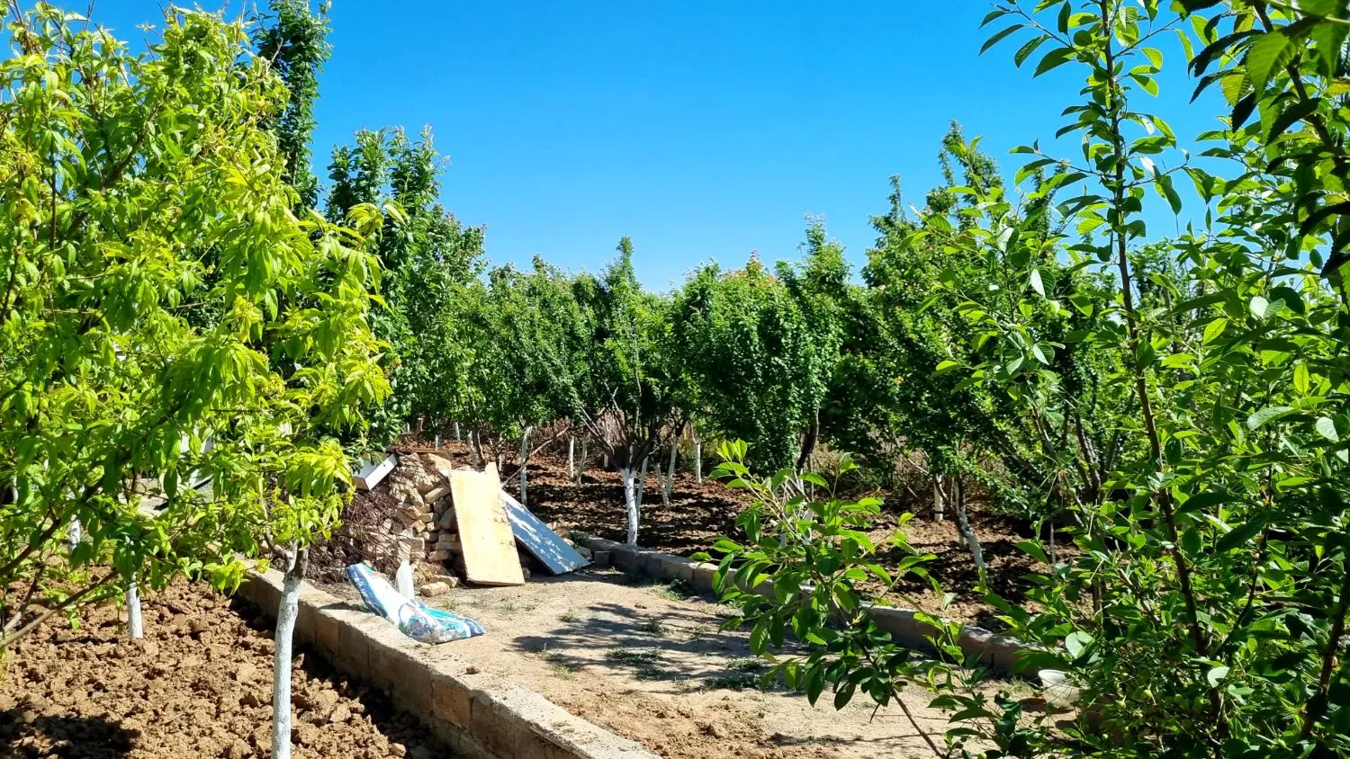 زمین ۵۰۰ متری ماهدشت