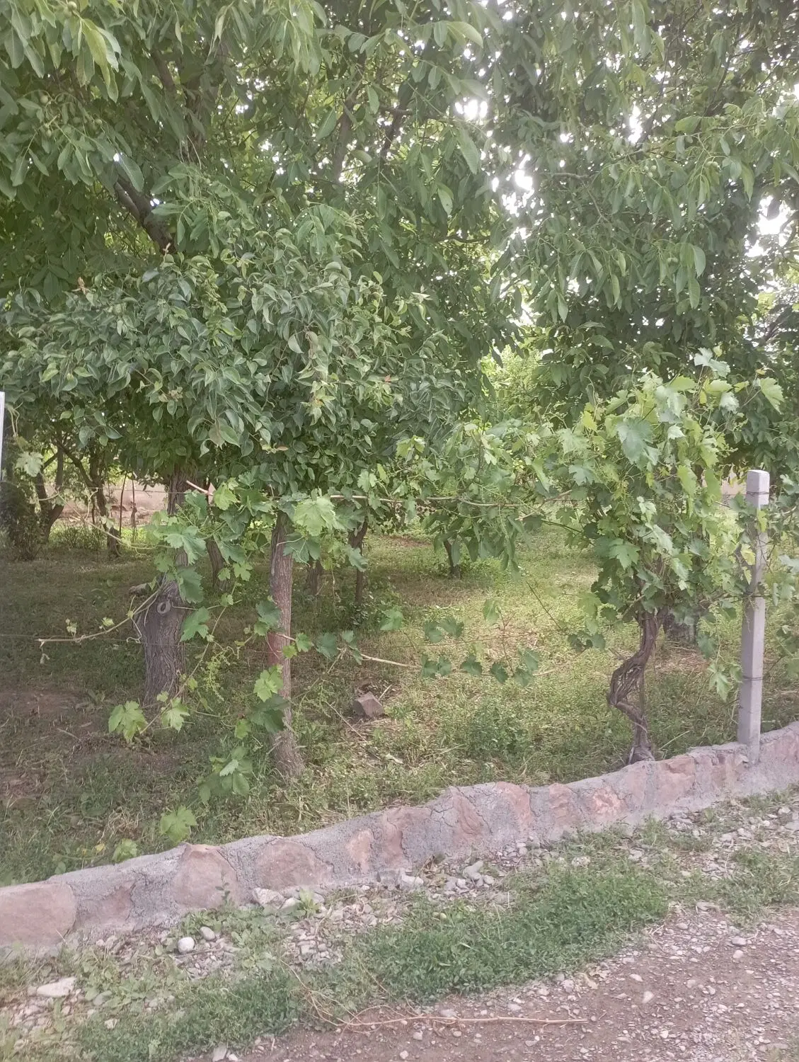 خانه باغ ۱۰۰۰متر