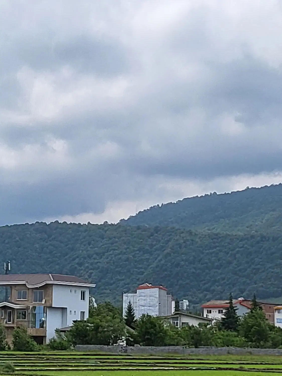 زمین با سند تکبرگ