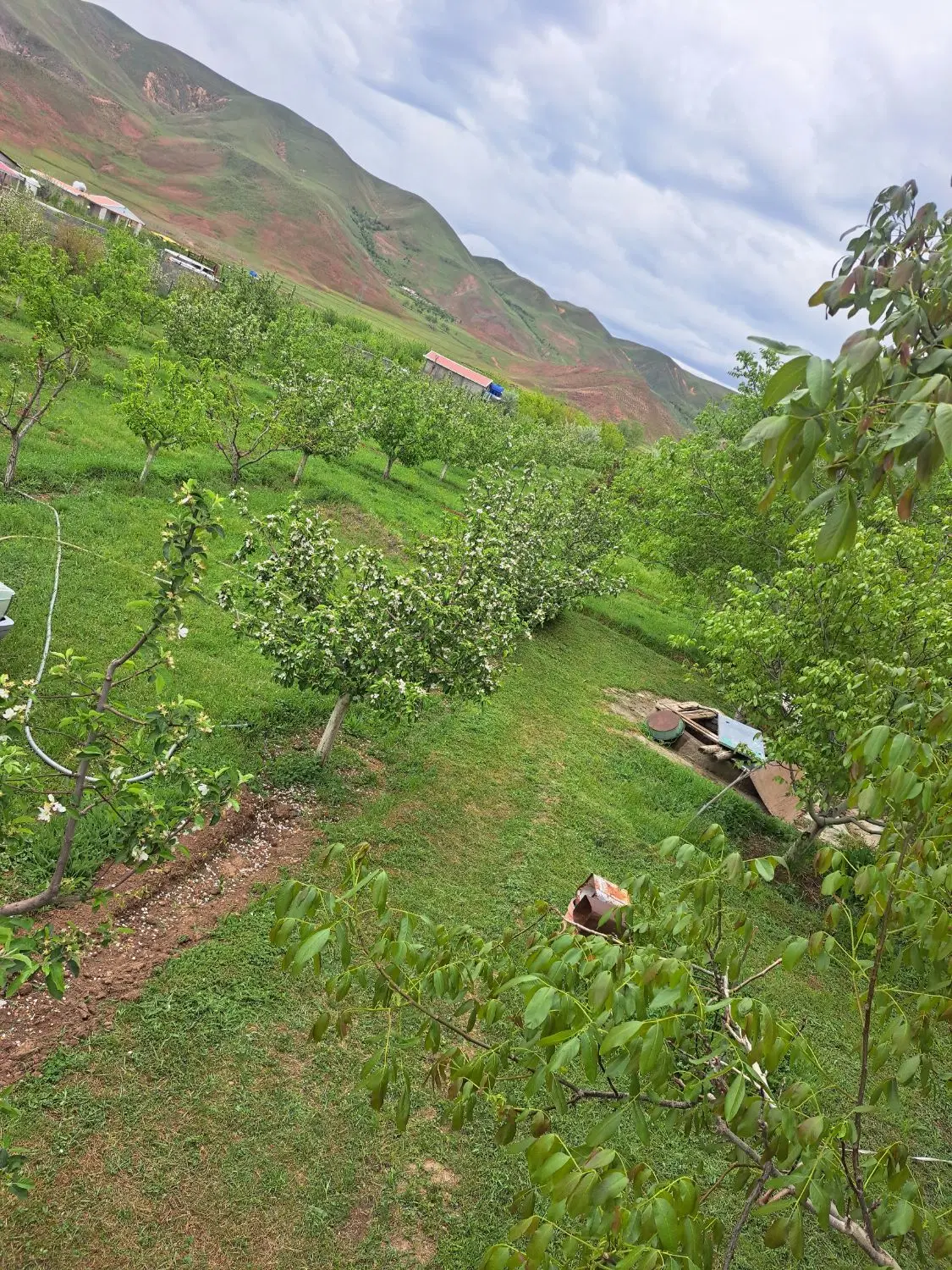 زمین ویلایی