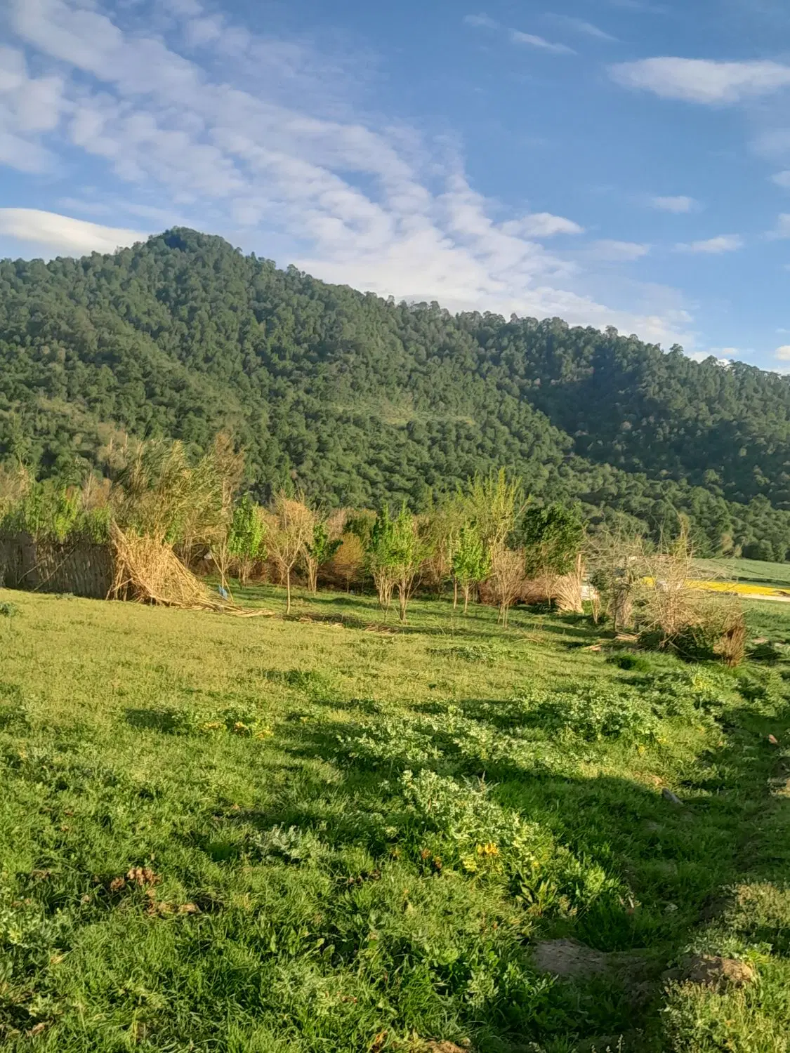 زمین باغی شهرقرق