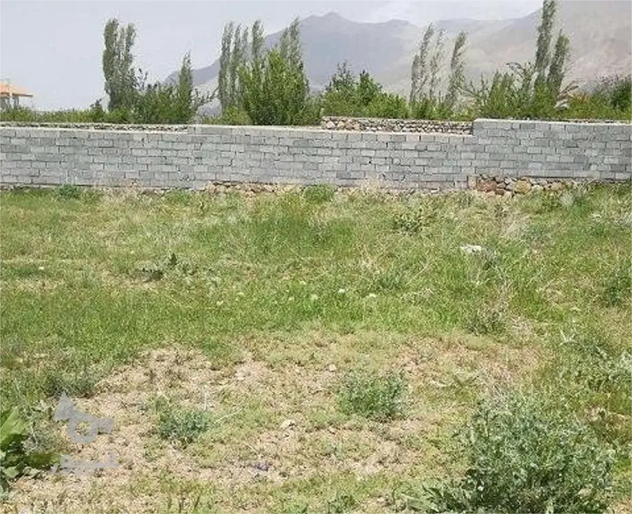 زمین