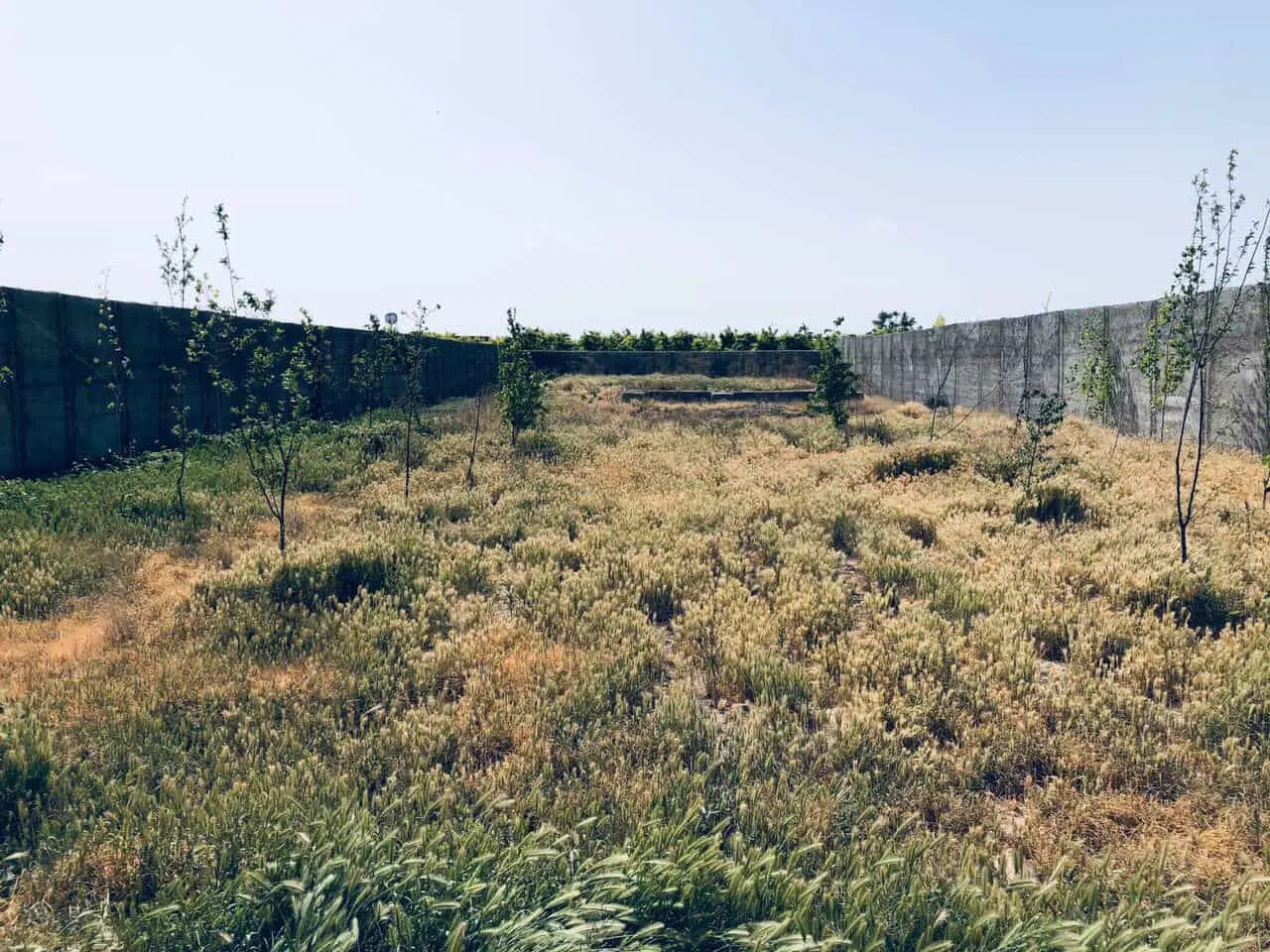 زمین ۱۲۰ متری آق تپه