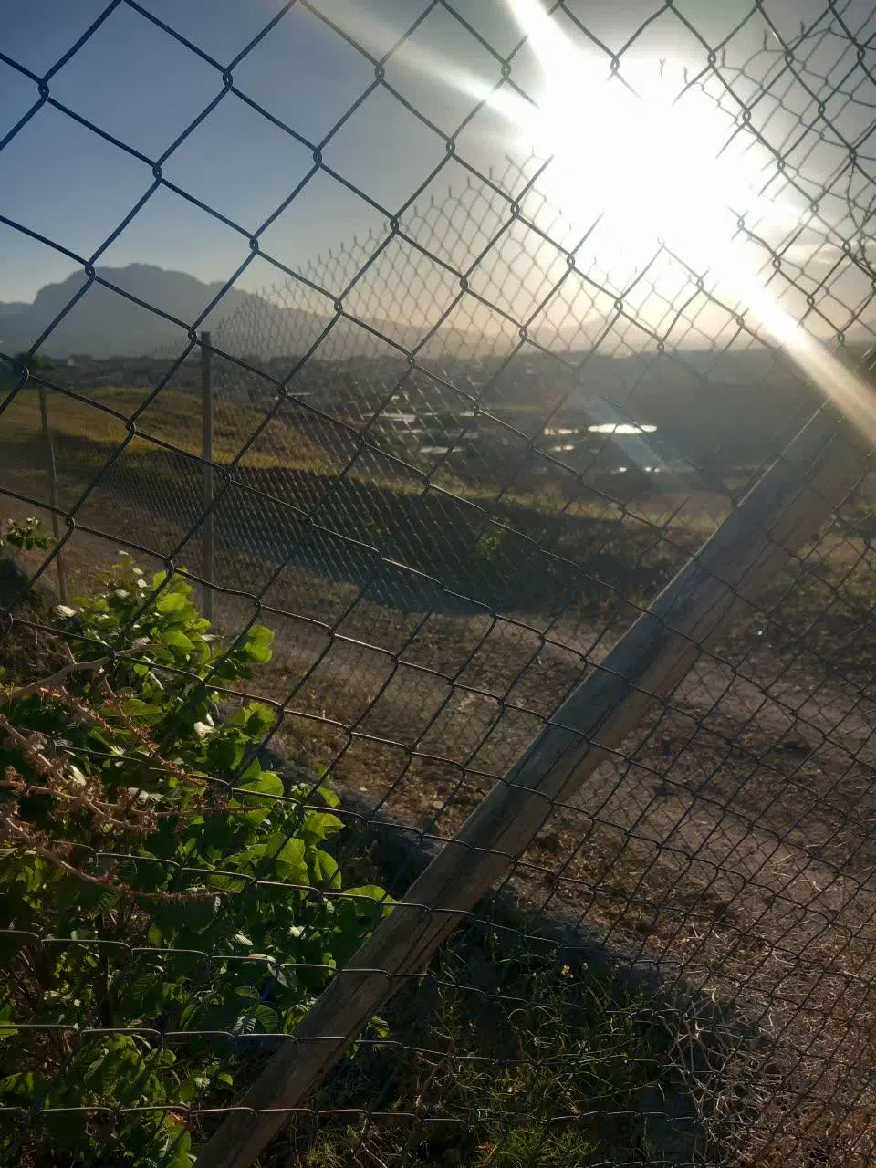 زمین کشاورزی