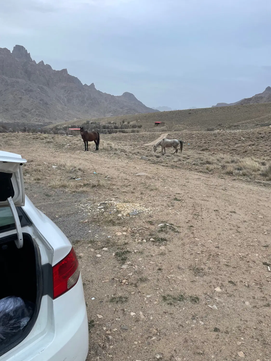 زمین ۵۷۰متری فخراباد