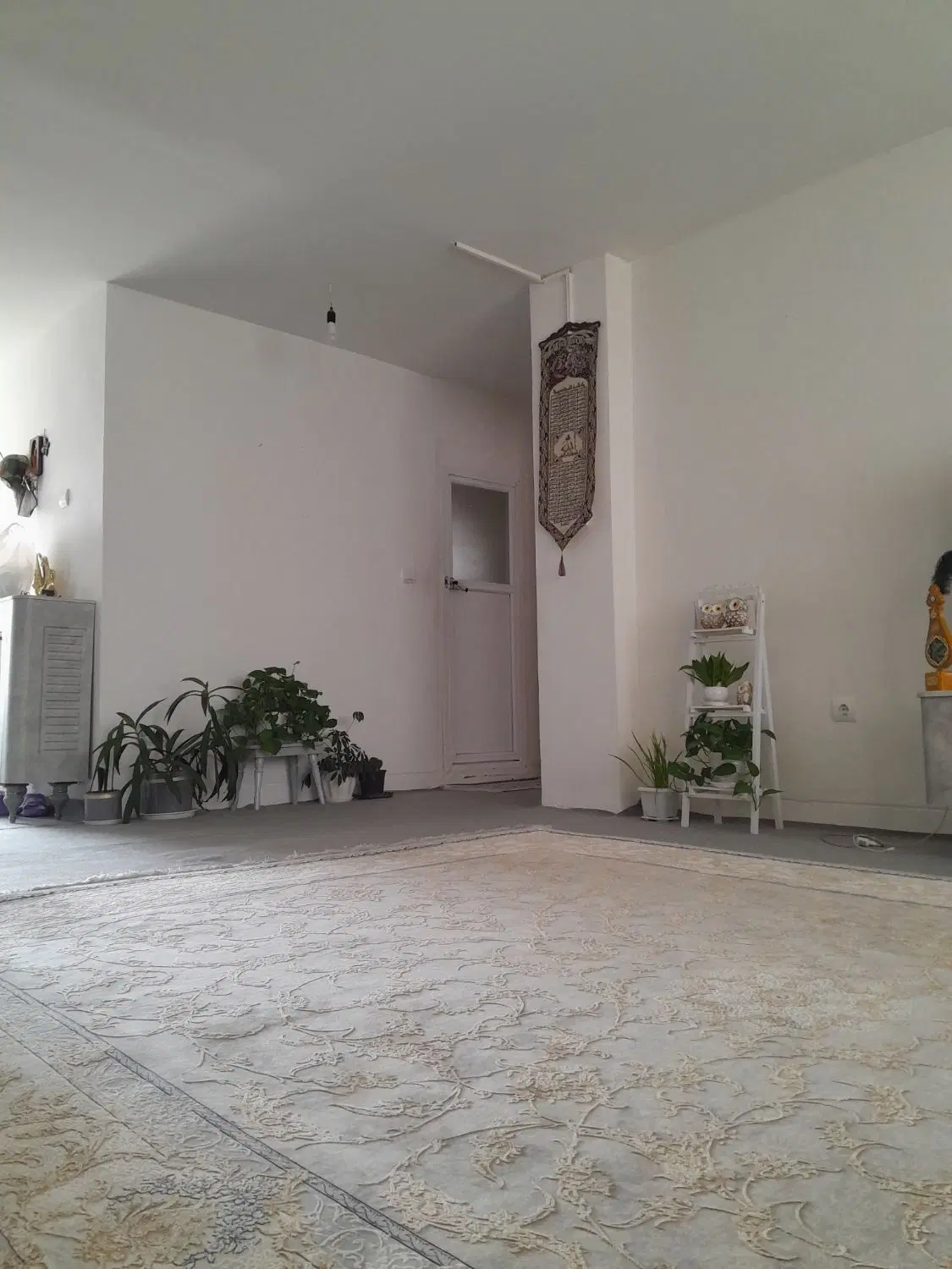 زمین تجاری چیتگر