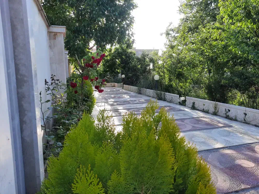 باغچه فروشی داخل بافت