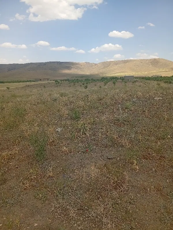 2500متر زمین کشاورزی