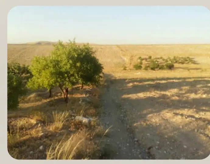 زمین بر جاده روستای انرجان