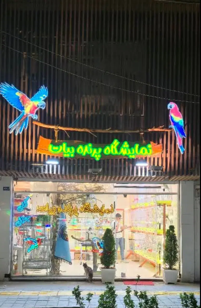 مغازه حاشیه سه راه فلسطین