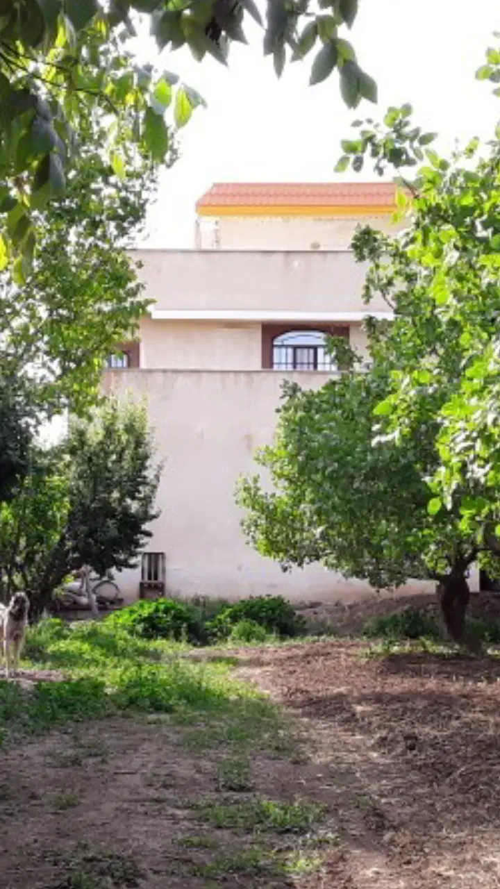 باغ ویلا
