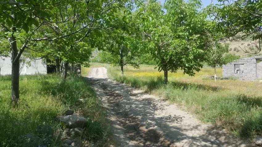فروش زمین در بیدخوان بردسیر