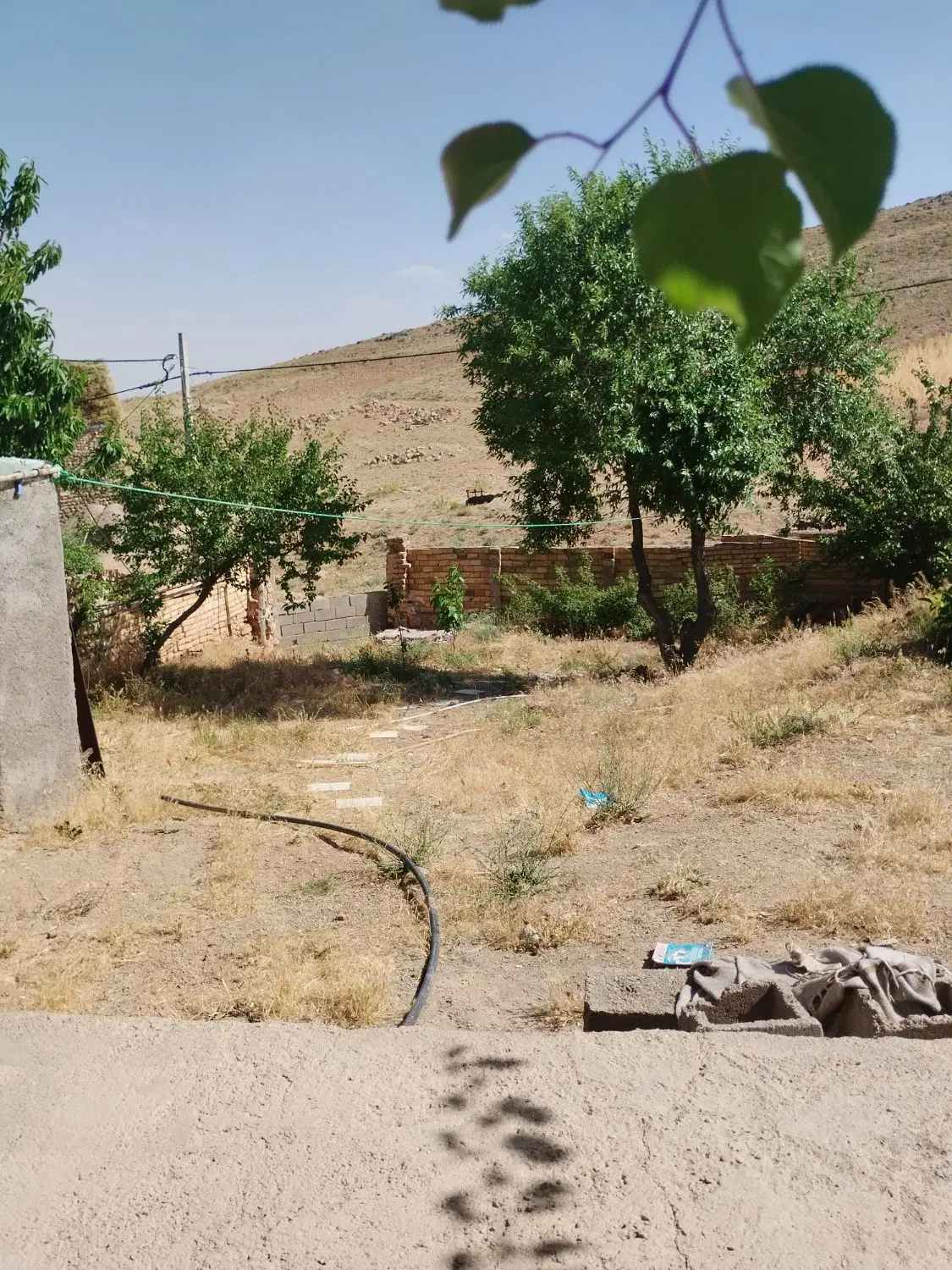 خونه باغ ۲۸۰۰متری