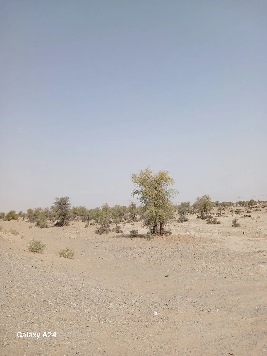 زمین