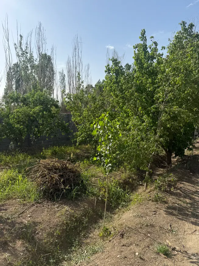 باغ فیروز بهرام