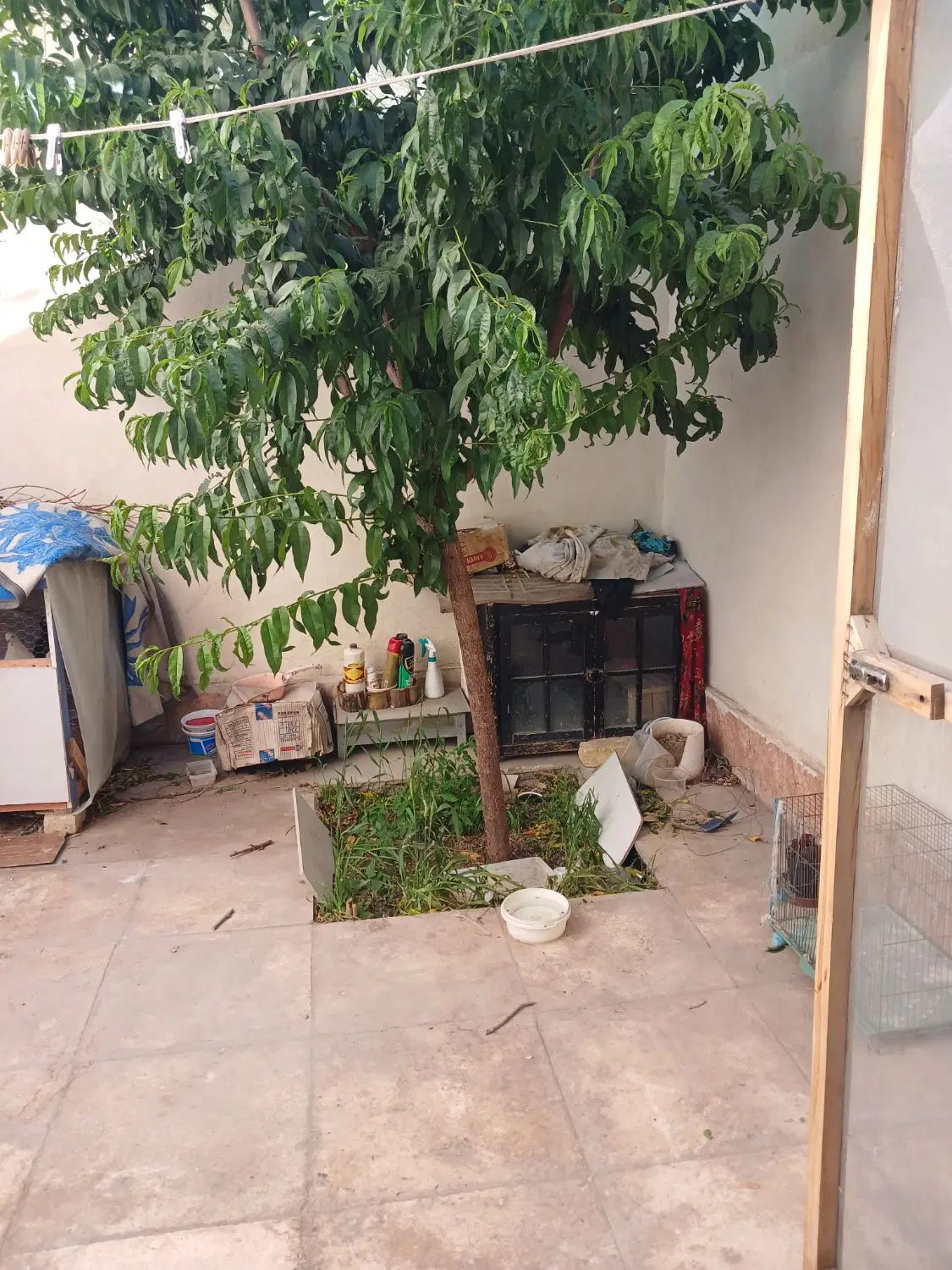خانه نقلی حسن آباد
