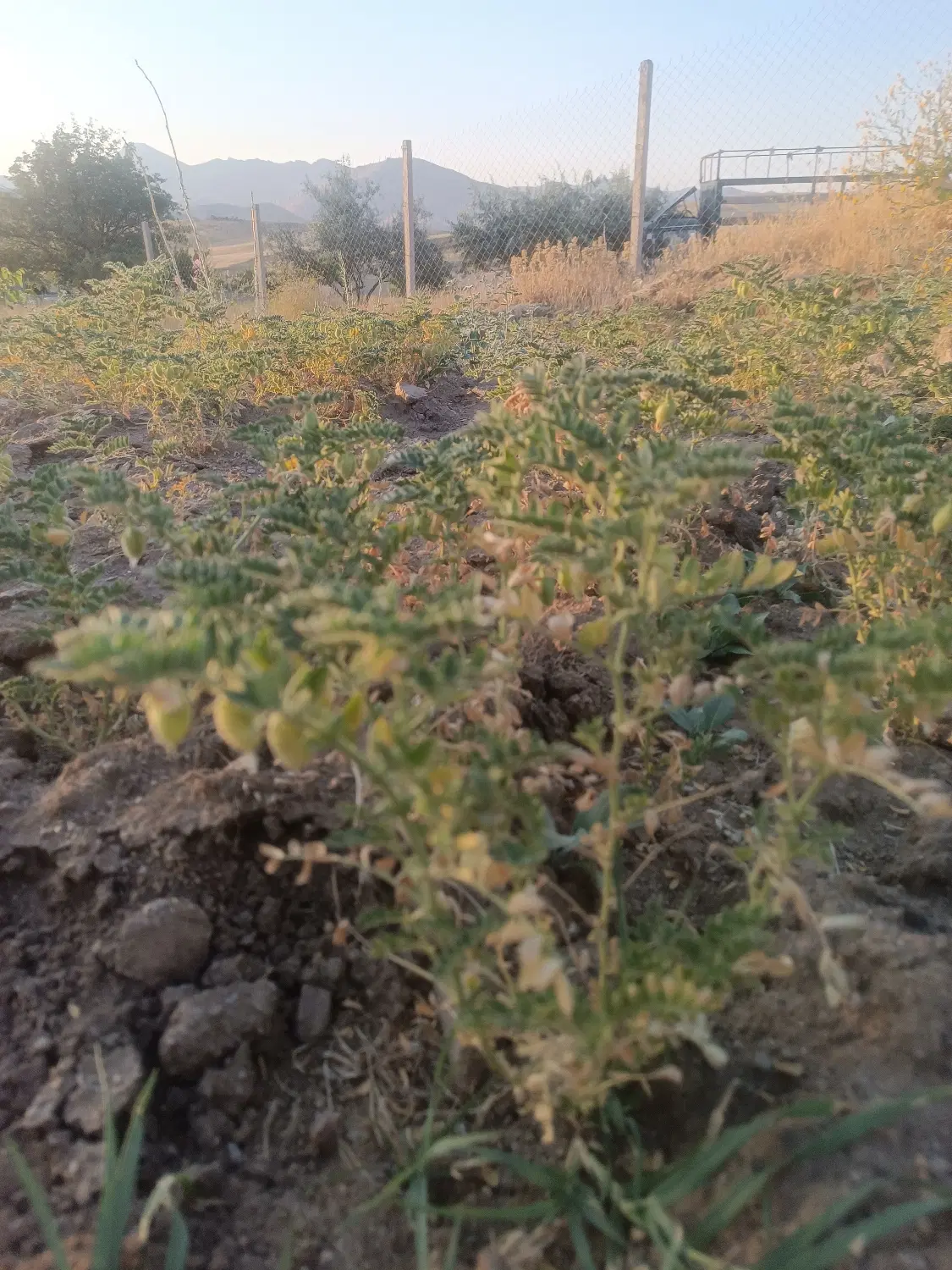 فروش خانه باغ
